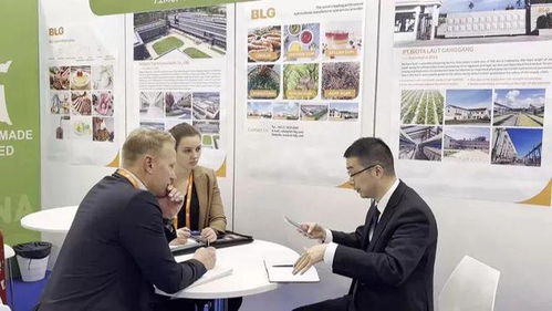 搶單 歸來 浙江最強(qiáng)軍團(tuán)都帶回了什么 還有這件事浙江也搶先了